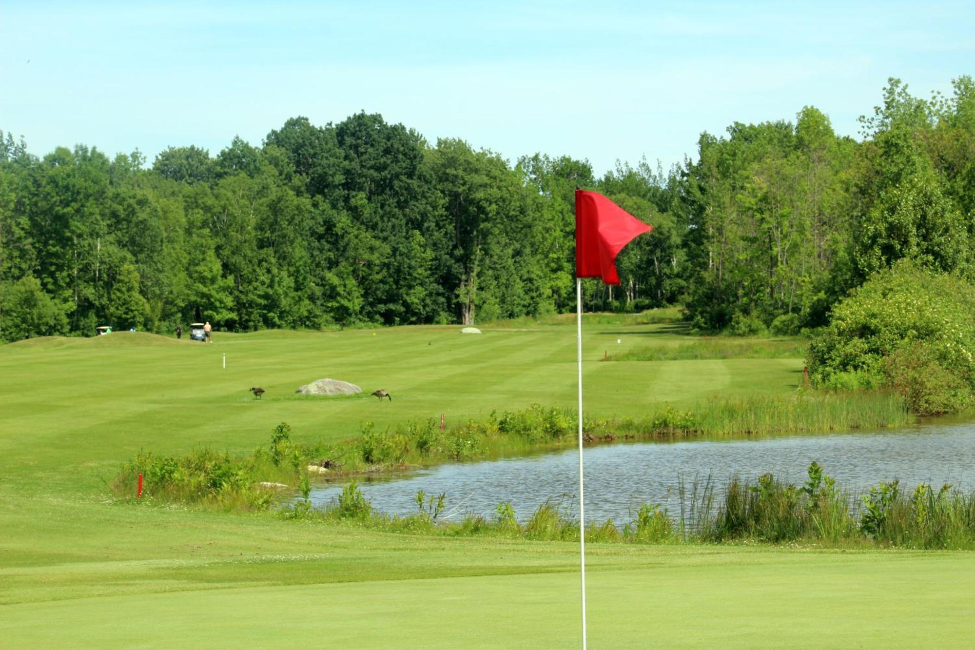 Living Water Resort & Spa Collingwood Esterno foto
